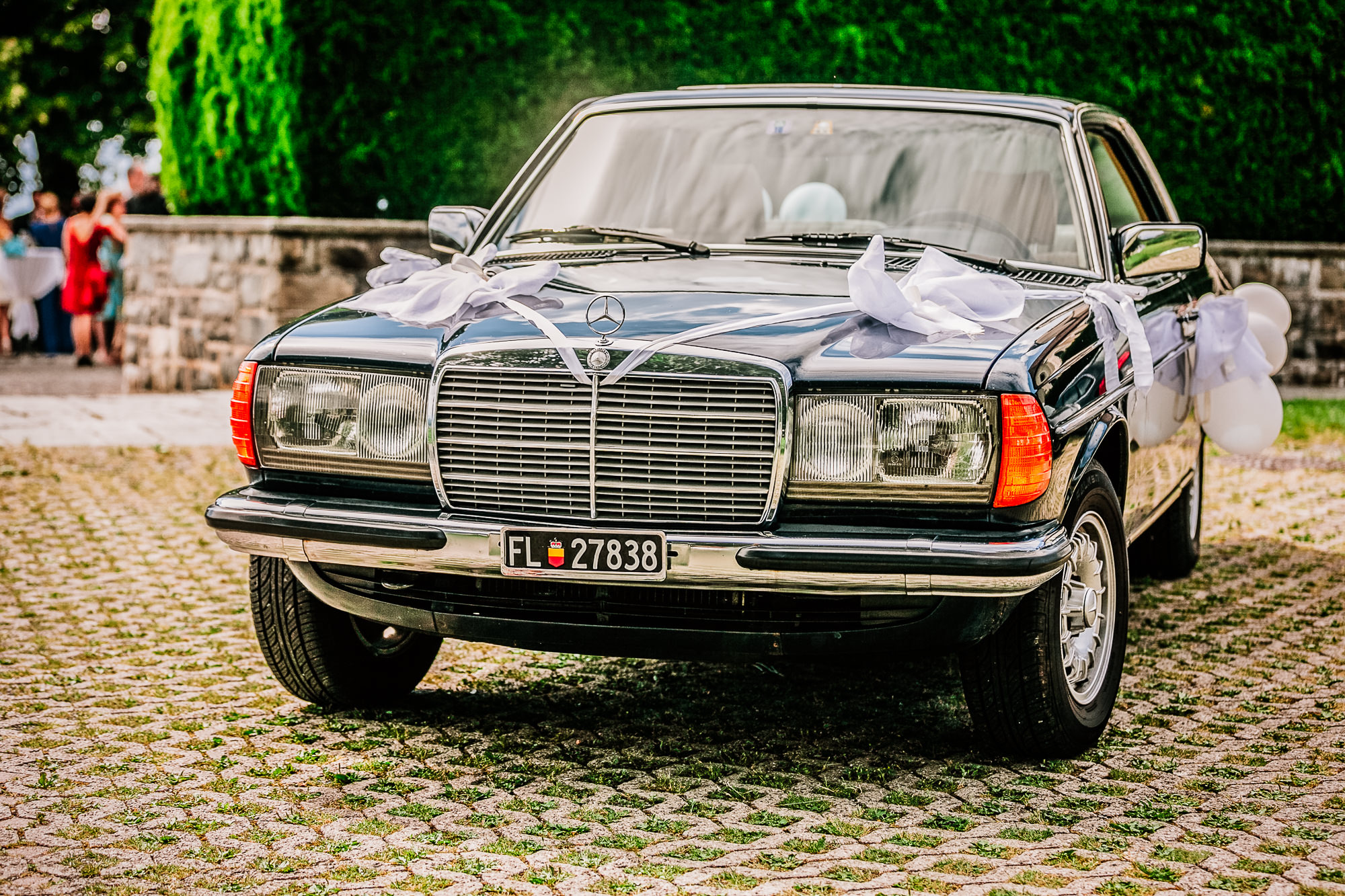 Export x3 039 JC 595 Beispiele Eva 2016